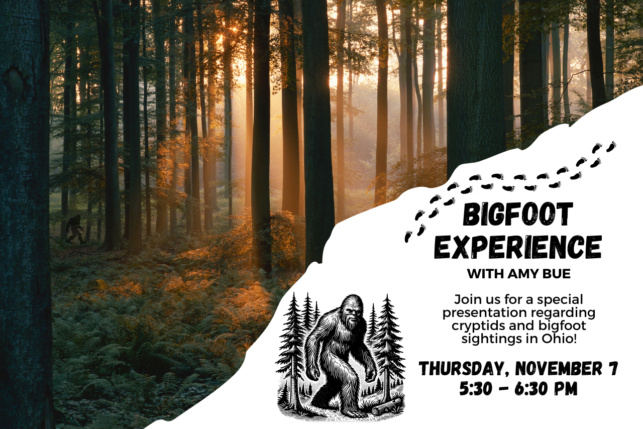 Bigfoot Experience