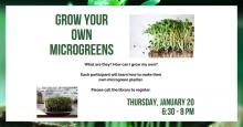 Grow Your Own Microgreens